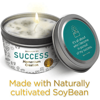 Magnificent 101 Long Lasting Momentum Creation Candle for Success | 6 Oz - 35 Hour Burn | Sage, Bergamot & Sandalwood Scented Soy Wax Candle For House Energy Cleansing & Manifestation EasyOptionXY LLC