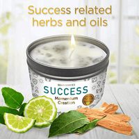 Magnificent 101 Long Lasting Momentum Creation Candle for Success | 6 Oz - 35 Hour Burn | Sage, Bergamot & Sandalwood Scented Soy Wax Candle For House Energy Cleansing & Manifestation EasyOptionXY LLC