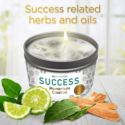 Magnificent 101 Long Lasting Momentum Creation Candle for Success | 6 Oz - 35 Hour Burn | Sage, Bergamot & Sandalwood Scented Soy Wax Candle For House Energy Cleansing & Manifestation EasyOptionXY LLC