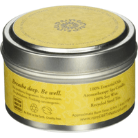 rareEarth rareESSENCE Candle, 4 OZ, Yellow, 4 Ounce EasyOptionXY LLC