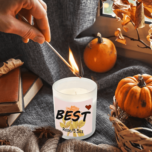 OSHINE Scented Soy Candles Aromatherapy Candles Pack of 2 Fragrance Candles Glass Jar Log Cover Rubber Seal 5.3oz Working 40 Hours per Candle Gift Set Perfect for Women,Home,Friend EasyOptionXY LLC