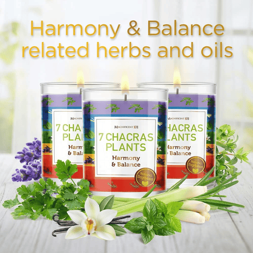 Magnificent 101 Set of 3 Long-Lasting 7 Chakras Plants Aromatherapy Candles | 10.5 Oz - 42-Hour Burn | 100% Soy Wax & Herbs | Ideal for Meditation, Energy Cleansing & Manifestation EasyOptionXY LLC