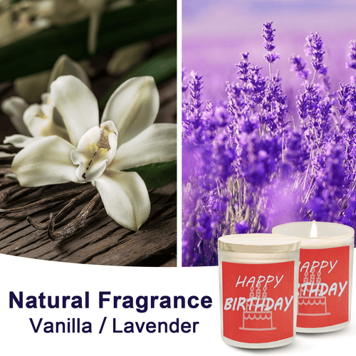 OSHINE 2 Pack Scented Candles Birthday Gift Set Aromatherapy Candles Made of 100% Natural Soy Wax Glass Jar Log Cover Rubber Seal 5.3oz Working 40 Hours per Candle for Stress Relief EasyOptionXY LLC