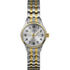 Timex Women's Viewpoint Two-tone EasyOptionXY LLC