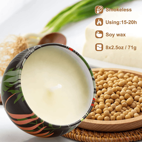 Scented Candle Sets 8 Pack Aromatherapy Candle Soy Candle Gifts for Women, Birthday, Mothers Day, Anniversary, 19.75oz/set EasyOptionXY LLC