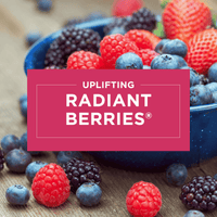 Glade Jar Candle Air Freshener, Radiant Berries, 3.4 oz EasyOptionXY LLC