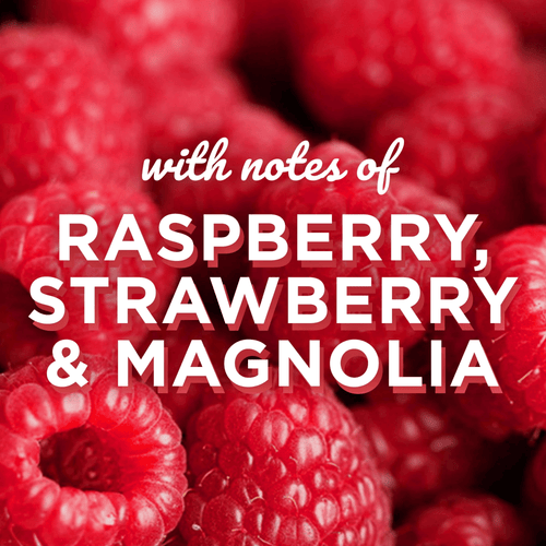 Glade Jar Candle Air Freshener, Radiant Berries, 3.4 oz EasyOptionXY LLC