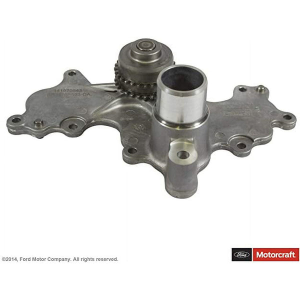 Motorcraft Engine Water Pump Pulley Bolt Cover PW-532 Fits select: 2012-2023 FORD F150, 2015-2017 FORD EXPEDITION EasyOptionXY LLC