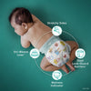 Pampers Baby-Dry Diapers Size 5, 164 Count EasyOptionXY LLC