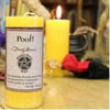 COVENTRY CREATIONS Wicked Witch Mojo - Poof Candle by Dorothy Morrison EasyOptionXY LLC