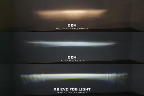 Morimoto Toyota 4Runner (10-24) XB Evo/Evo+ Fog Lights OffRoadUSA.com