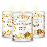 Magnificent 101 Abundance Set of 3 Candles EasyOptionXY LLC