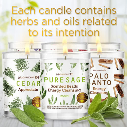 Magnificent 101 Long Lasting Manifestation Steps Set of 6 Smudge Candles 3.5 Oz Each - 84 Hour Burn | All Natural & Organic Soy Wax Candles with Cedar, Palo Santo, Pure Sage, Lotus, Rose & Lavender EasyOptionXY LLC