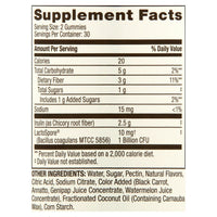 Spring Valley Kids' Probiotic + Prebiotic Vegetarian Gummies; 60 Count EasyOptionXY LLC