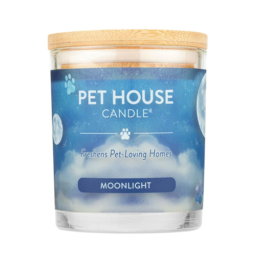 Moonlight Candle EasyOptionXY LLC