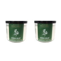 Bath and Body Works Aromatherapy 3 Wick Candle, 14.5 Oz, Eucalyptus Spearmint (2 Pack) EasyOptionXY LLC