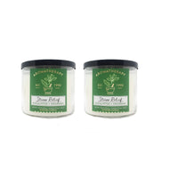 Bath and Body Works Aromatherapy 3 Wick Candle, 14.5 Oz, Eucalyptus Spearmint (2 Pack) EasyOptionXY LLC