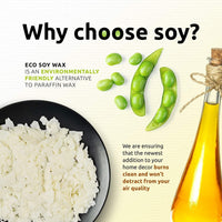 Soy Wax Candle in Glass Jar Gingerbread Cinnamon Clean Burn up to 80 Hours Handmade in USA Natural and Safe by Relaxcation 10 oz EasyOptionXY LLC