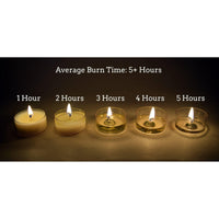 O'Christmas Tree, Soy Tea Light 12-Pack EasyOptionXY LLC