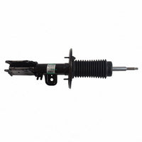 Motorcraft AST-12320 New Suspension Strut Assembly Fits select: 2013-2019 FORD TAURUS EasyOptionXY LLC