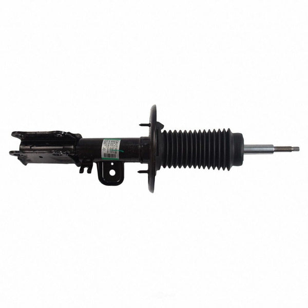 Motorcraft AST-12320 New Suspension Strut Assembly Fits select: 2013-2019 FORD TAURUS EasyOptionXY LLC