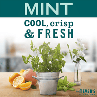 Mrs. Meyer's Clean Day 2.9 Oz. Mint Small Tin Soy Candle 322919 EasyOptionXY LLC