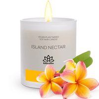 Soy Wax Candle in Glass Jar Island Nectar Clean Burn up to 80 Hours Handmade in USA Natural and Safe by Relaxcation 10 oz EasyOptionXY LLC