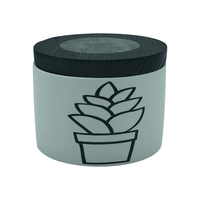 2-Pack Peppermint Eucalyptus Scented Candles 6 oz | Home Decor Candles - 100% Soy Wax Ceramic Jar EasyOptionXY LLC