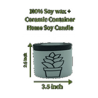 2-Pack Peppermint Eucalyptus Scented Candles 6 oz | Home Decor Candles - 100% Soy Wax Ceramic Jar EasyOptionXY LLC