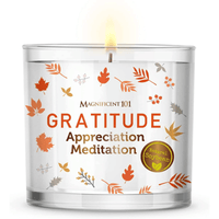 Magnificent 101 Long-Lasting Abundance Smudge Aromatherapy Candle | 14 Oz - 56-Hour Burn | Made of 100% Soy Wax, Sage Herbs | Ideal for House Energy Cleansing & Manifestation EasyOptionXY LLC