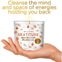 Magnificent 101 Long-Lasting Abundance Smudge Aromatherapy Candle | 14 Oz - 56-Hour Burn | Made of 100% Soy Wax, Sage Herbs | Ideal for House Energy Cleansing & Manifestation EasyOptionXY LLC