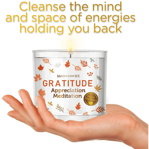 Magnificent 101 Long-Lasting Abundance Smudge Aromatherapy Candle | 14 Oz - 56-Hour Burn | Made of 100% Soy Wax, Sage Herbs | Ideal for House Energy Cleansing & Manifestation EasyOptionXY LLC