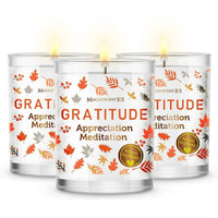 Magnificent 101 Long Lasting Set of 3 Gratitude Smudge Candles | 3.5 Oz Each - 42 Hour Burn |Soy Wax Candle for House Energy Cleansing, Meditation & Manifestation EasyOptionXY LLC