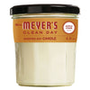 Mrs. Meyer's Clean Day Scented Soy Candle, Apple Cider Scent, 4.9 oz EasyOptionXY LLC