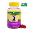 Spring Valley Vitamin B Complex Supplement Adult Vegetarian Gummies; 70 Count EasyOptionXY LLC