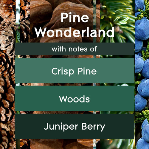 Glade Jar Candle 2 CT, Pine Wonderland, 6.8 OZ. Total, Air Freshener, Wax Infused with Essential Oils EasyOptionXY LLC