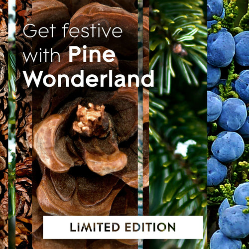 Glade Candle, 3 Wick Scented Candle, Pine Wonderland, 6.8 oz EasyOptionXY LLC