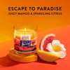 Find Your Happy Place Candle Catching the Sunrise Mango And Sparkling Citrus 7 oz EasyOptionXY LLC