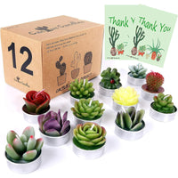 AIXIANG 12Pcs Cactus Candles Succulent Candles, Wedding Party Favors for Guests, Bridal Shower Candles Favors EasyOptionXY LLC