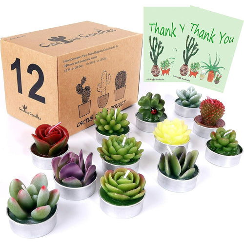 AIXIANG 12Pcs Cactus Candles Succulent Candles, Wedding Party Favors for Guests, Bridal Shower Candles Favors EasyOptionXY LLC