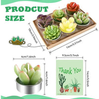 AIXIANG 12Pcs Cactus Candles Succulent Candles, Wedding Party Favors for Guests, Bridal Shower Candles Favors EasyOptionXY LLC
