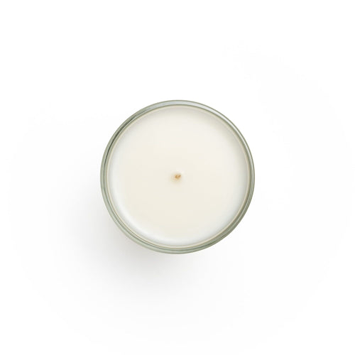 Lost Wick Studio - Santal, Premium Scented Candle with Organic Coconut Wax, 9.5Oz EasyOptionXY LLC