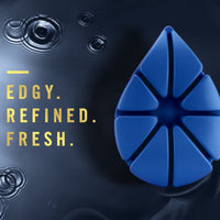 Febreze Odor-Fighting Wax Melts Air Freshener Refills, Ocean, 8 count EasyOptionXY LLC