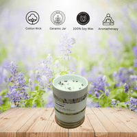 Lavender Scented Candles - Terreux Home Candles with Natural Essential Oils | 10 oz. Ceramic Jar Candle - Burn Time 36 Hrs. Plus EasyOptionXY LLC