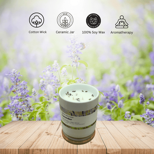 Lavender Scented Candles - Terreux Home Candles with Natural Essential Oils | 10 oz. Ceramic Jar Candle - Burn Time 36 Hrs. Plus EasyOptionXY LLC