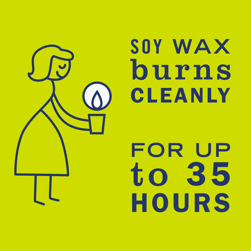 Mrs. Meyer's Clean Day Scented Soy Candle, Large, Lemon Verbena Scent, 7.2 Ounce Candle EasyOptionXY LLC