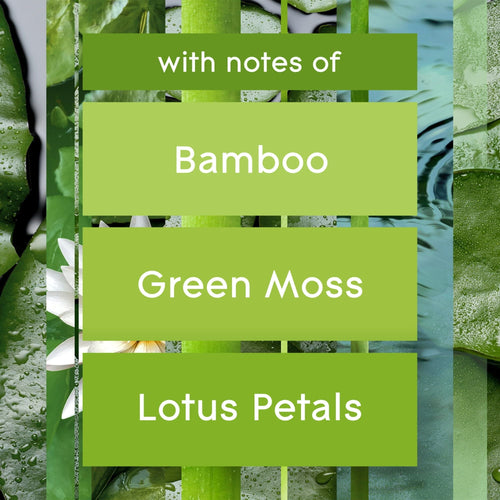 Glade Scented Candle Jar, Bamboo & Waterlily, Fragrance Infused with Essential Oils, 3.4 oz, Pack of 2 EasyOptionXY LLC