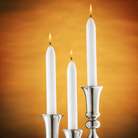Tribello White Taper Candles, 14 Pack, 9" Unscented White Candlesticks for Home Decoration, Wedding, Holiday and Parties EasyOptionXY LLC