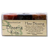 COVENTRY CREATIONS Blessing Kit - Home Blessing EasyOptionXY LLC