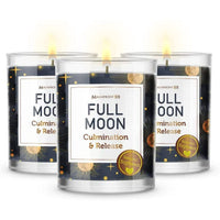 Magnificent 101 Set of 3 Long-Lasting Full Moon Aromatherapy Candles 10.5 Oz - 42-Hour Burn 100% Soy Wax, Herbs Ideal for Meditation, House Energy Cleansing & Manifestation EasyOptionXY LLC